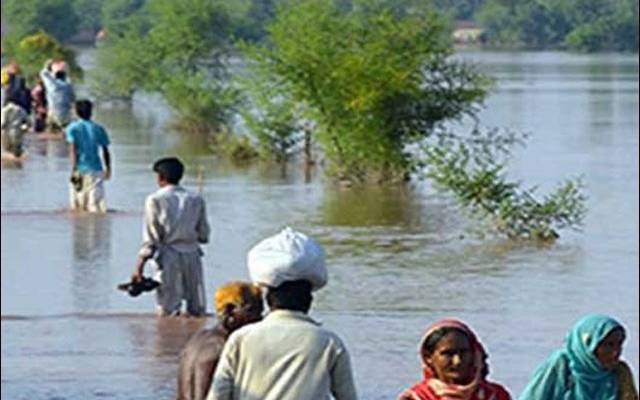 این ڈی ایم اے،سیلاب متاثرین،راشن بیگز،سٹی42
