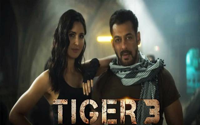 Salman khan, Movie