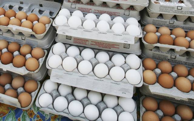 egg ,Hot Weather,China