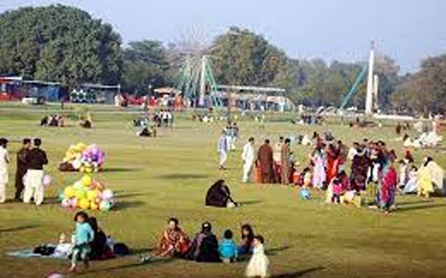 ڈینگی،وار،تیز،لاہور،لاروا،سٹی42