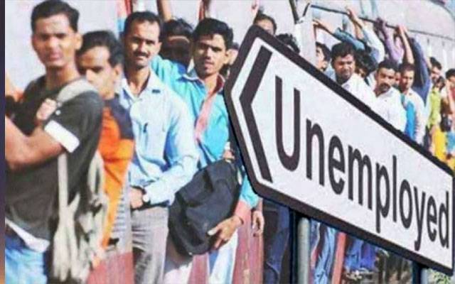 Good News for unemployed 