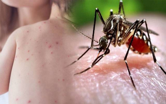 Dengue