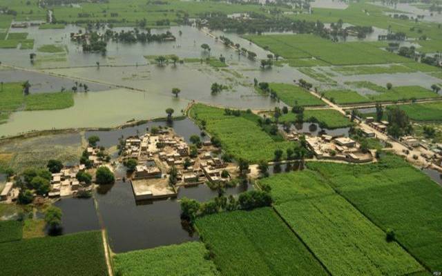  سیلاب کی تباہ کاریاں ،معروف گلوکار بے گھر 