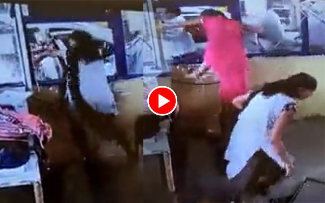 ٹول ٹیکس مانگنے پر نوجوان نے خاتون کو تھپڑ جڑ دیا، پھر کیا ہوا؟ ویڈیو دیکھیں
