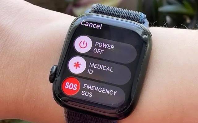 Apple Pro watch