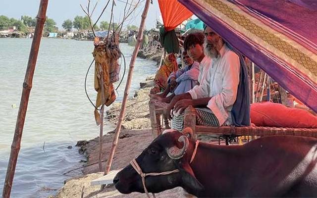 Flood, KPK, Swat, Sindh