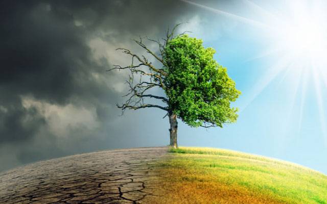 کے پی حکومت کی کلائمیٹ چینج پالیسی کا ایکشن پلان منظور 
