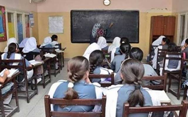 طلباء،کتابیں،نیا تعلیمی سال، کمپیوٹر سائنس،سٹی42