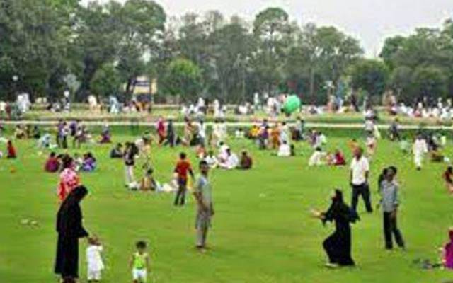 ڈینگی،مریض،محکمہ صحت،سٹی42