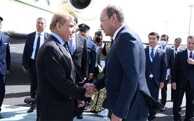 pm shahbaz sharif 
