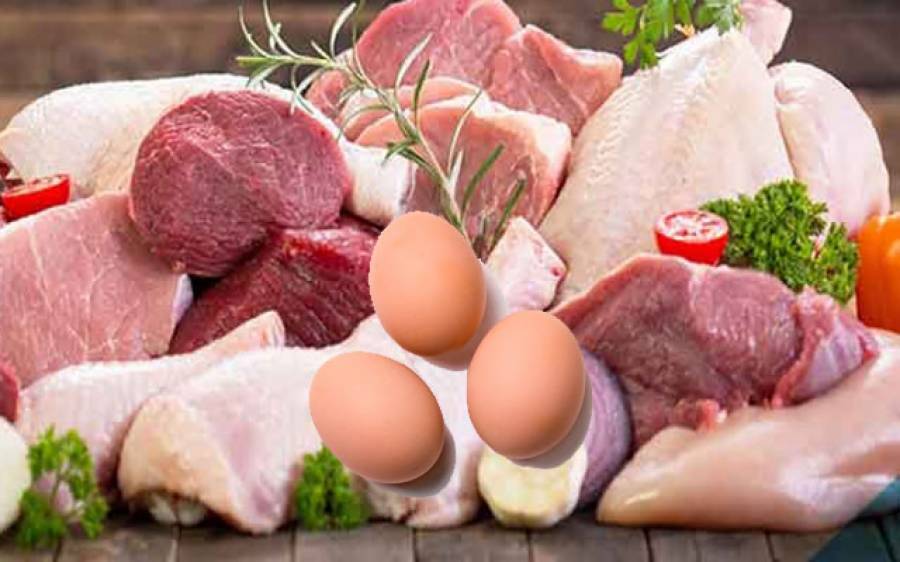 Chicken Meat Today rates