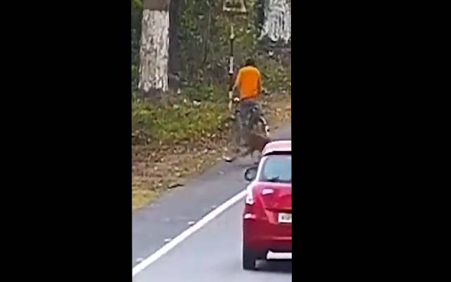 چیتے کا سائیکل سوار پر حملہ، دل دہلا دینے والی ویڈیو وائرل