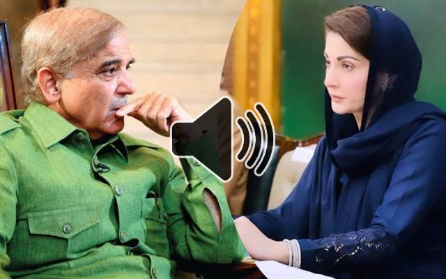 Audio Leak, maryam and PM Shahbaz
