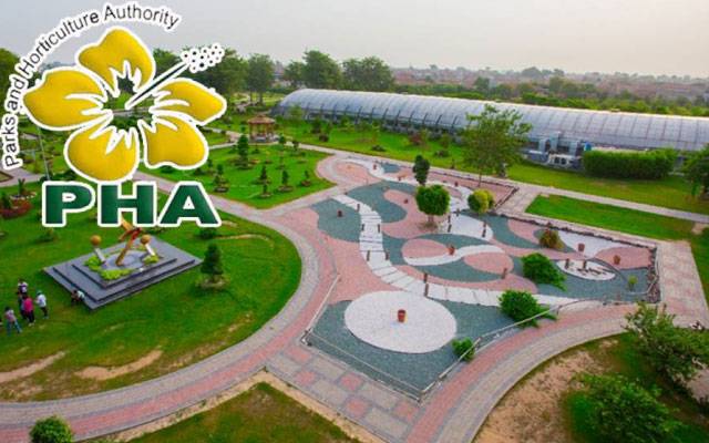 PHA revenue increased