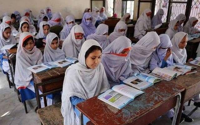  پیف پارٹنر سکول،بورڈآف ڈائر یکٹرز ،وزیراعلیٰ پنجاب،سٹی42