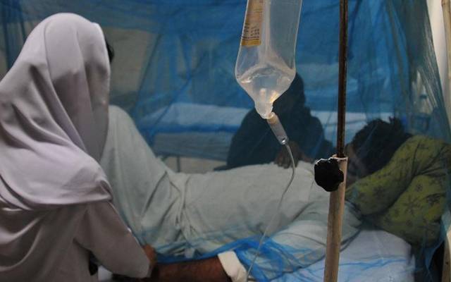 ڈینگی مریض،جنرل ہسپتال،معالجین،ے آن لائن،سٹی42