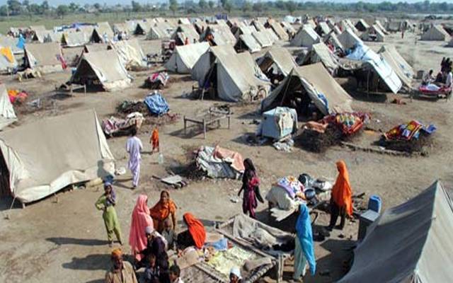 سیلاب متاثرین،ٹینٹ سٹی،سانپ،سٹی42