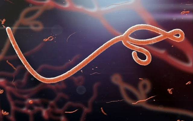 کورونا وائرس کے بعد ایک اور خطرناک وائرس سے پاکستان کو خطرہ