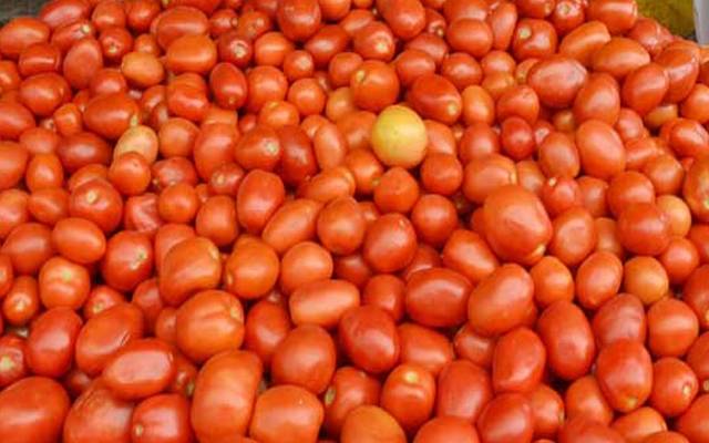 ٹماٹر مہنگے، قیمت جان کر آپ دنگ رہ جائیں گے