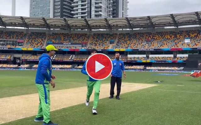 Mohammad Wasim Jr. Loses a Hilarious $100 Challenge From Matthew Hayden