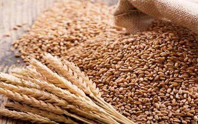 روس کی پاکستان کو گندم برآمد کرنے کی پیشکش