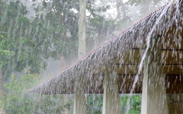 rain