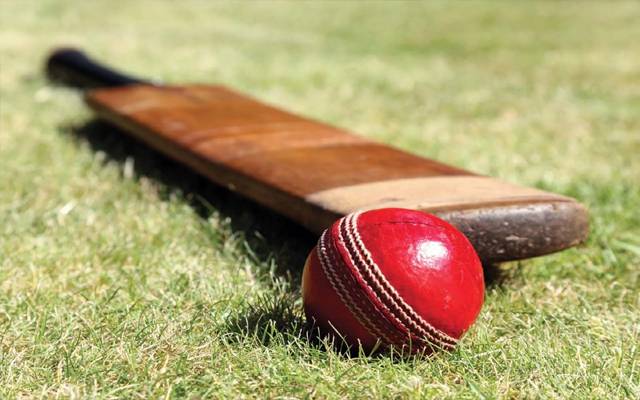 cricket