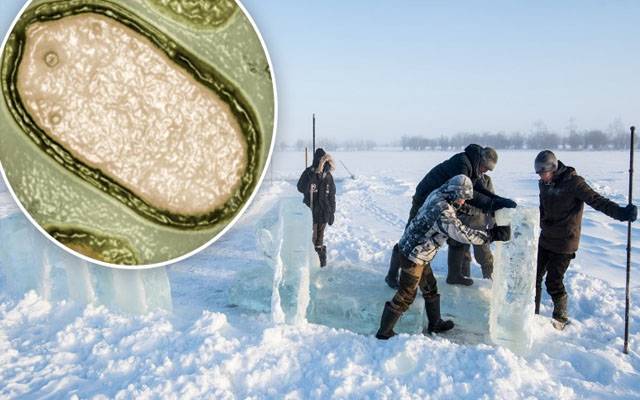 ہزاروں سال سے برف میں دفن ’ زومبی وائرس‘ دوبارہ زندہ ہوگیا