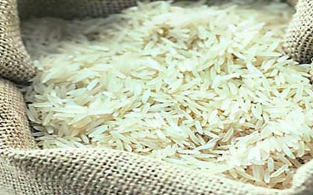 Rice