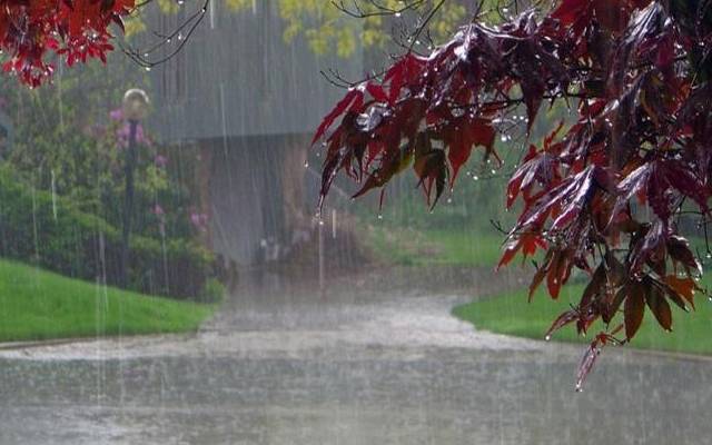 rain