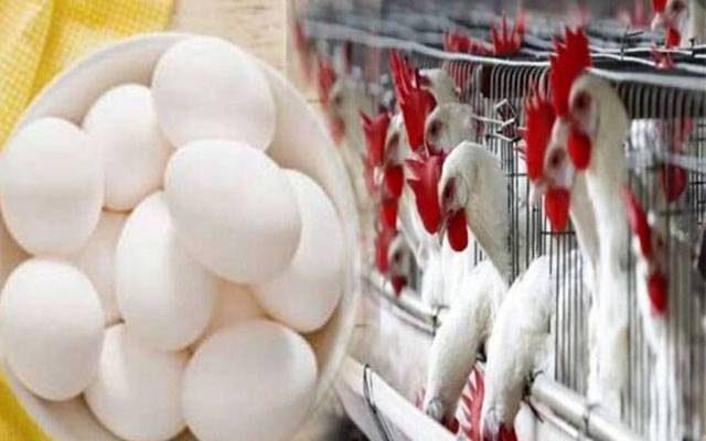 انڈے اور مرغی کا گوشت کھانے کے شوقین افراد کیلئے بُری خبر 