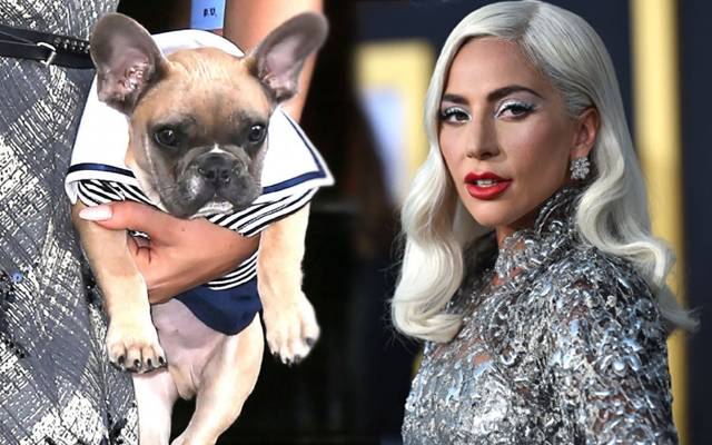 Lady Gaga and her dog 