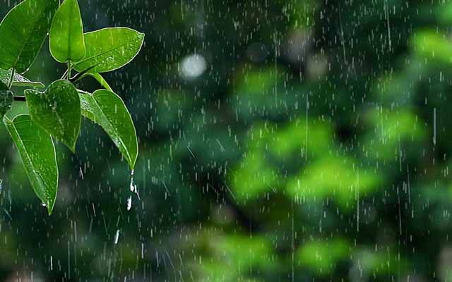 rain