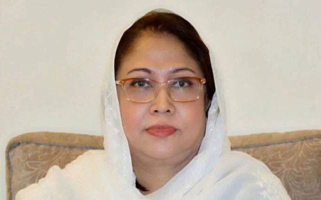فریال تالپور نااہلی کیس، فیصلہ آج ہوگا