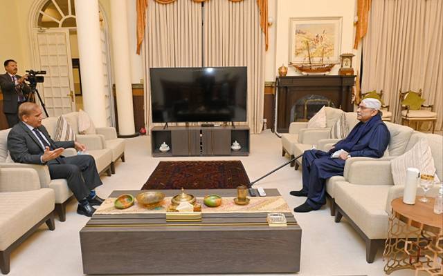 Pm shahbaz sharif,Zardari meeting,City42