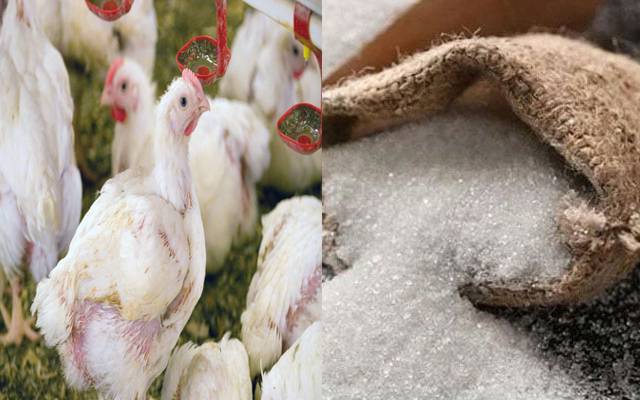 Broiler,meat,sugar price,increased,City42