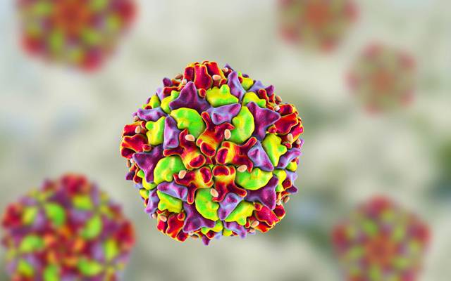 Lahore,polio virus,City42