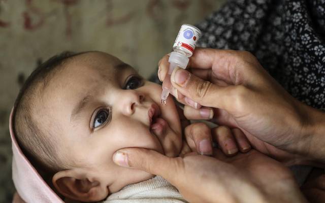 Polio,Anual report,issued,City42