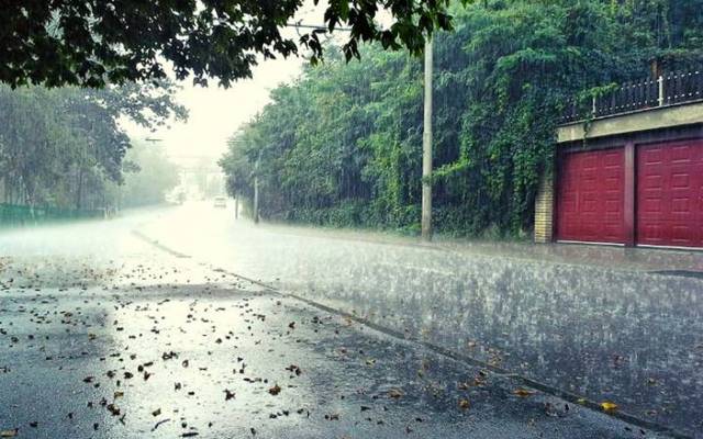 rain 