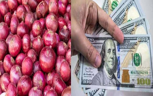 ڈالر اور پیاز میں ریس، روپے کا کچومر نکل گیا 