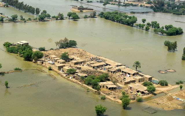 Flood effeted,areas,Jonit survey,Expenses,City42