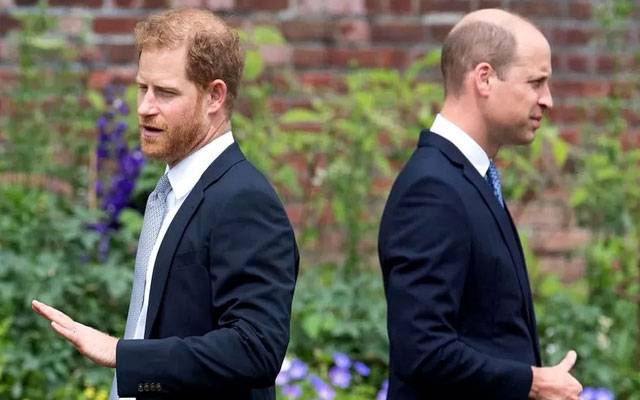 Prince Harry , Prince William