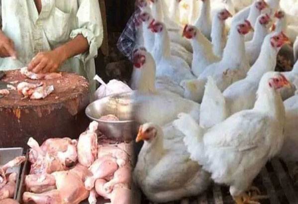 Chicken Price