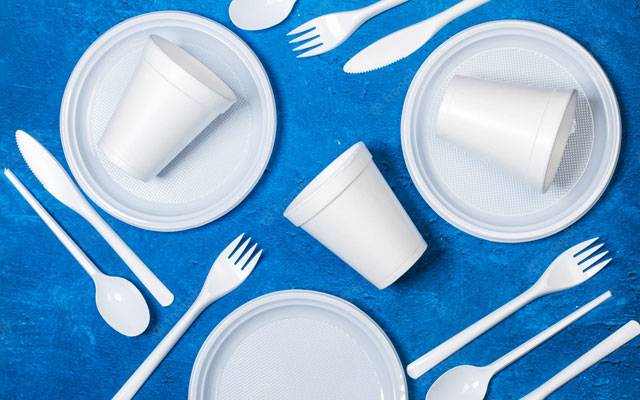 Disposable Utensils 