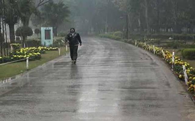 rain 