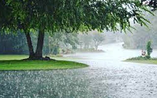Rain,prediction,Weather department,City42