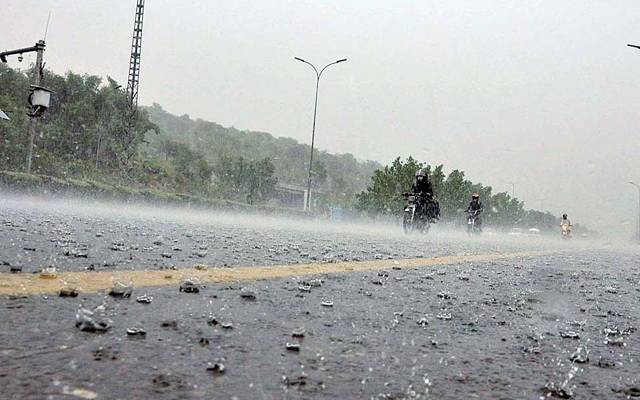 Rain 