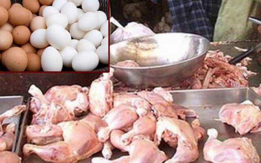 Chicken Meat Today rates