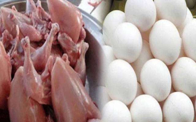 Chicken Meat Today rates