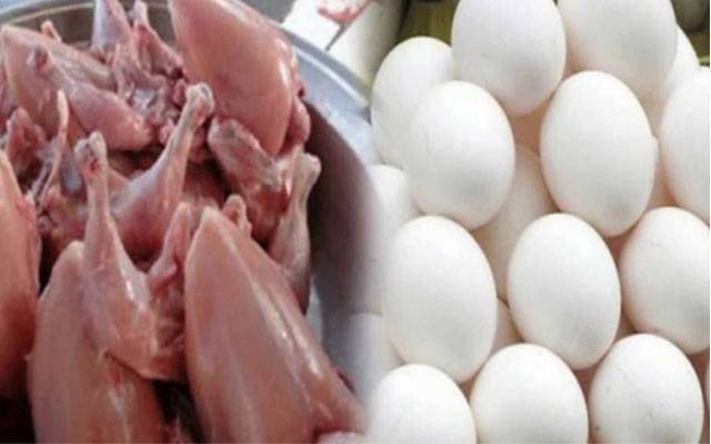 Chicken Meat Today rates